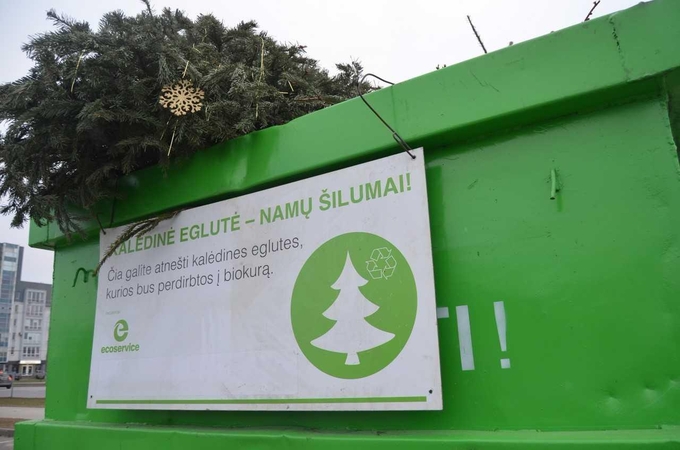 Surinktas rekordinis skaičius nupuoštų eglučių