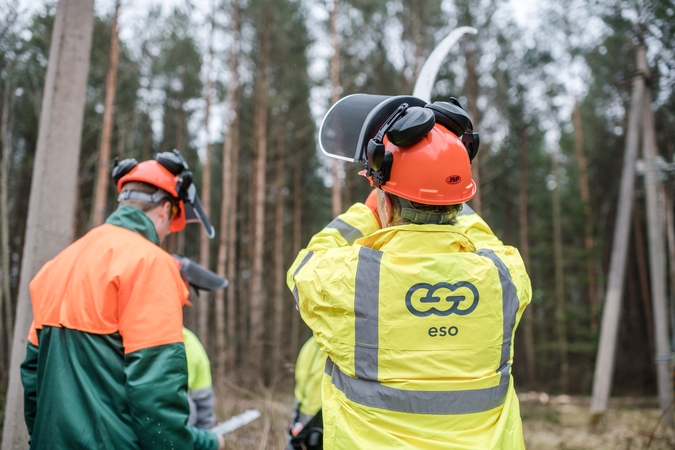 ESO primena: gyventojai atsakingi už jų žemėje šalia elektros linijų augančių medžių priežiūrą