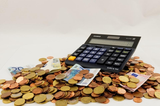 Valstybės biudžeto tvirtinimo istorija: įdomiausi faktai