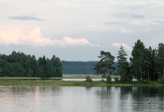 Utenoje paskendo jaunas vyras