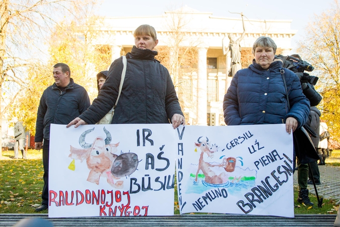 Seimas nurodė tobulinti pataisas dėl pieno kainų reguliavimo