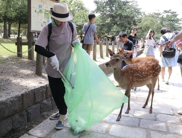 Japonijoje prisiriję plastiko nugaišo devyni elniai