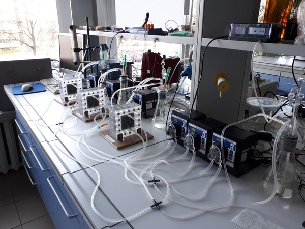 Mokslininkai: elektrą gamins ir mikrobai