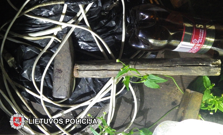 Teismui perduota byla dėl žmogžudystės Trakų rajone