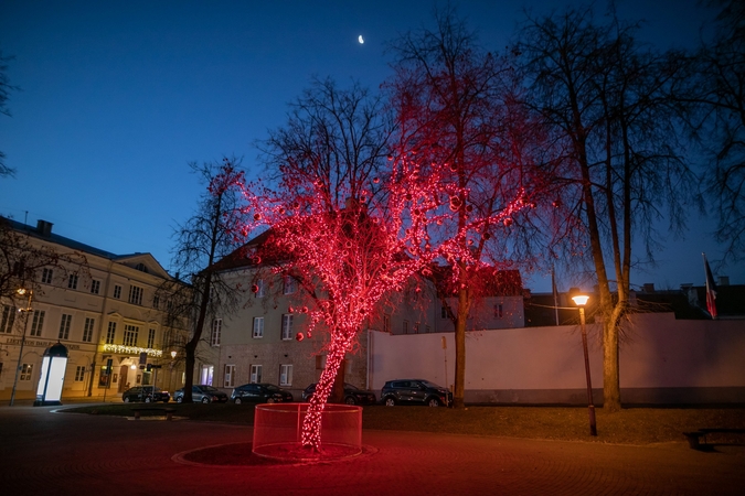 Vilniaus palaikymas medikams: fotopasakojimas, pagalbos linija ir instaliacijos