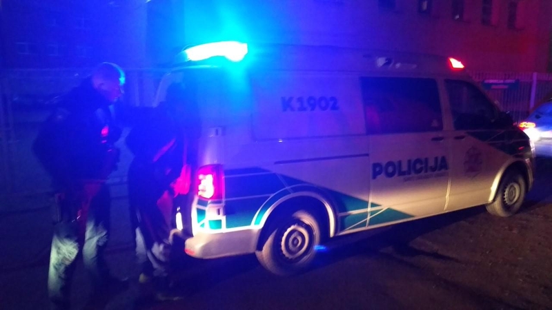 Vaišvydavoje sulaikyti du gyvenamųjų namų „švarintojai“