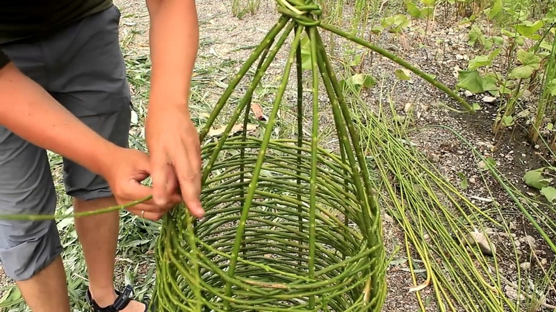 Tradicija: iš karklo vytelių pinami specialūs nėgių žvejybos bučiukai.
