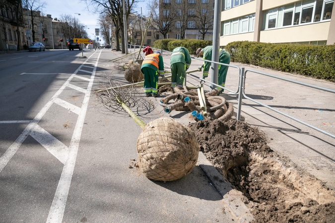Naugarduko gatvės atgimimas: kokie pokyčiai laukia?