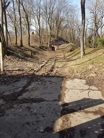Žmonių įžūlumas ribų neturi
