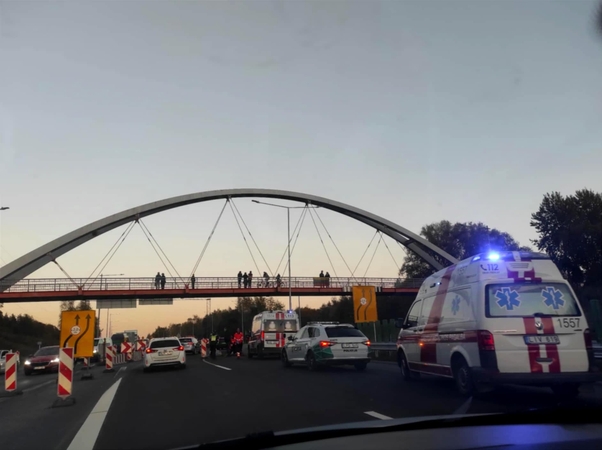 Islandijos plente automobilis „Renault“ partrenkė vyrą
