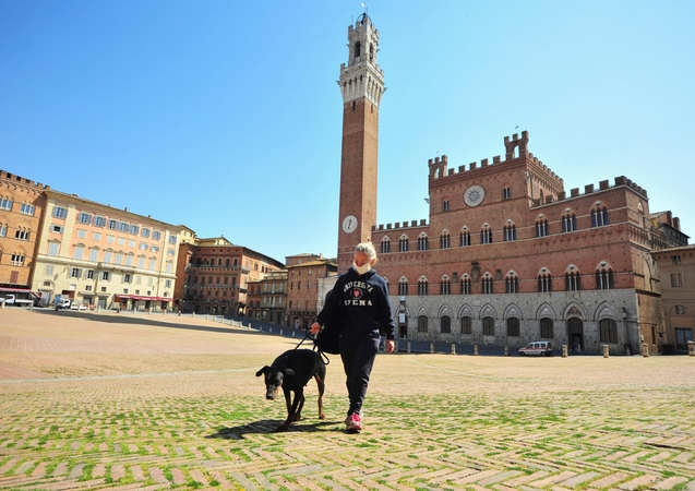 Italijos turistų gausiai lankytose miestų aikštėse želia žolė, žydi saulutės