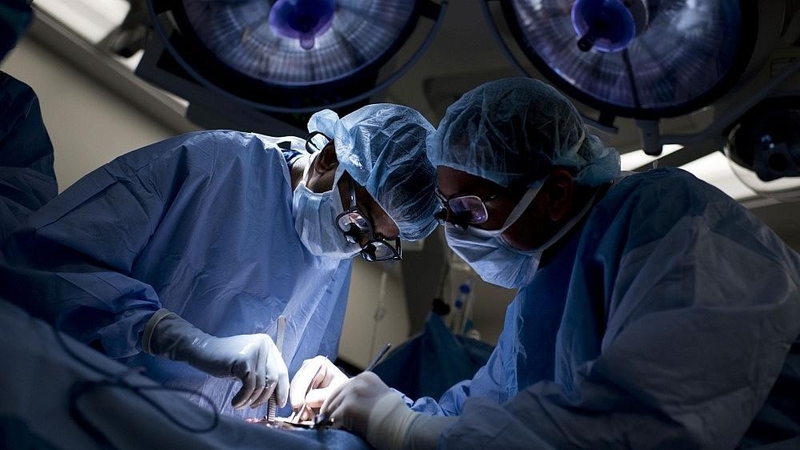 Olandija pritarė įstatymui dėl visų piliečių užregistravimo organų donorais