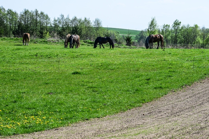 Pirmąjį šių metų ketvirtį užfiksuota beveik 400 žemės naudojimo pažeidimų