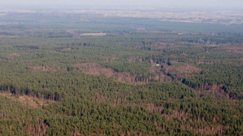 Apžvalgos bokštai leis pažinti Dzūkijos gamtos grožį