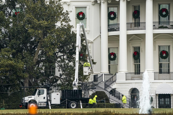 Amerikiečiams neduoda ramybės prie Baltųjų rūmų augančios magnolijos likimas