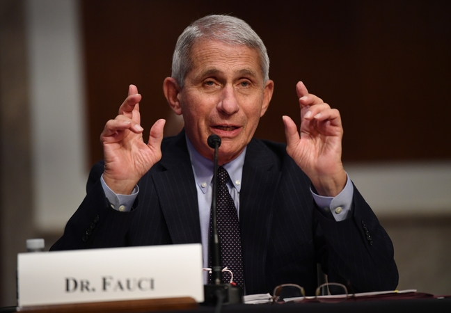 Anthony Fauci