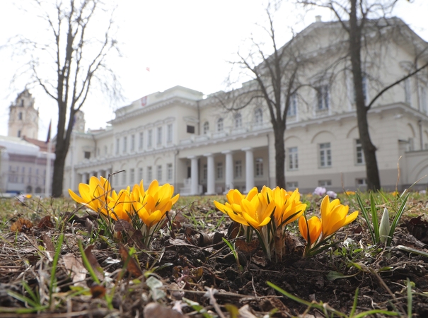 Į Lietuvą atkeliauja vėsesni vėjuoti orai