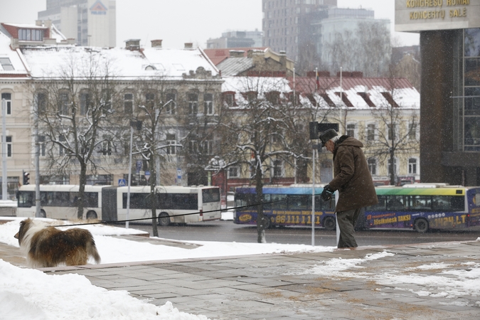 Dėl plikledžio eismo sąlygos sudėtingesnės rytinėje šalies dalyje