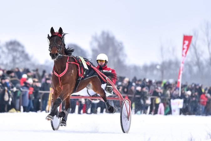 Vasario 1-ąją – tradicinės žirgų lenktynės „Sartai 2020“
