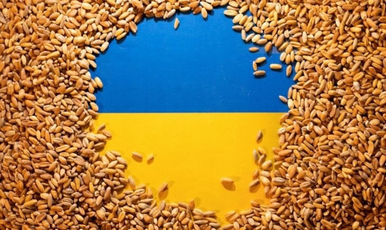 Ukrainos kaimynės nori, kad grūdų importo draudimas būtų pratęstas iki metų pabaigos