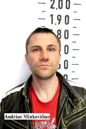 Andrius Minkevičius