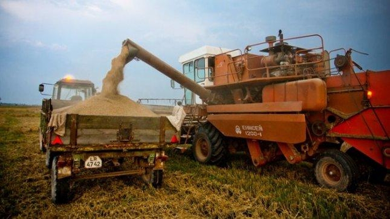 Netvarkingi keliai sunkina javapjūtę