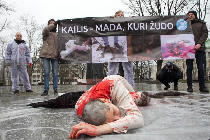Sostinėje – sukrečiantys protesto prieš kailių pramonę vaizdai