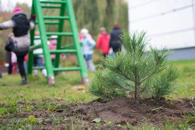 Mugės lankytojai perskaitytas knygas keis į medelius