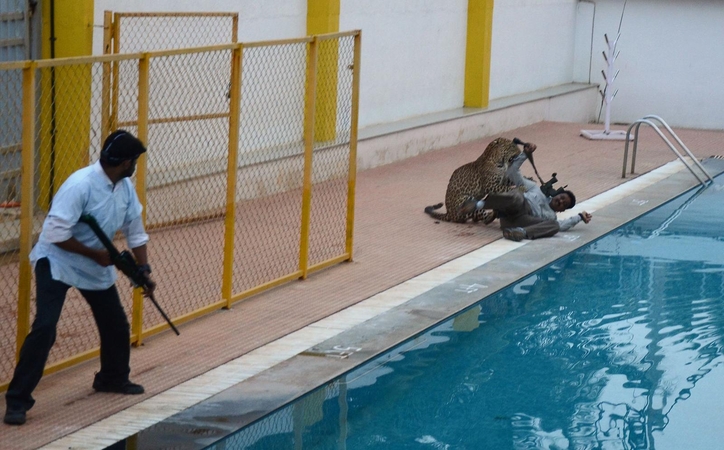 Indijoje į mokyklą atklydęs leopardas sužalojo penkis žmones