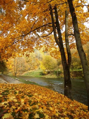 Džiugina pasakiškos rudens spalvos