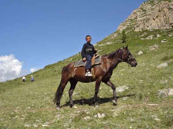 Altajus tolimas, Altajus artimas