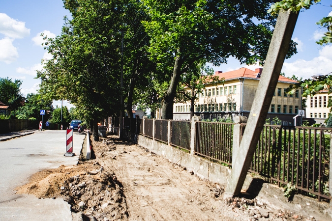 Gatvės rekonstrukcijos kaina -  šimtametis ąžuolas