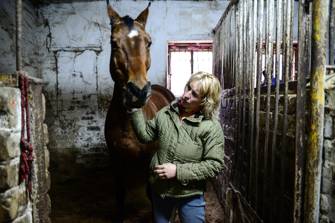 Žirgų mylėtojams atsivers naujos galimybės
