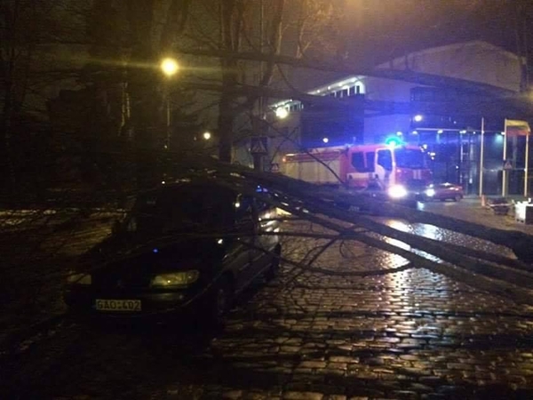 Incidentas: klaipėdiečius išgąsdino S.Nėries gatvėje automobilį sutraiškęs medis.