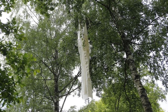 Tarp medžių šakų – medžiagų gabalai