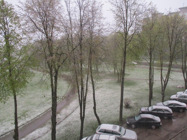 Kauną nuklojo baltas sniego patalas