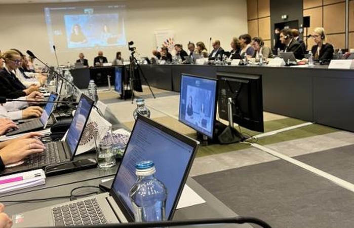 CVO susitikime Čekijoje - dėmesys Lietuvos patirčiai kovojant su AKM