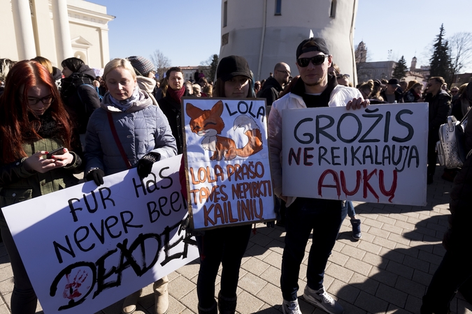 Katedros aikštėje – eitynės už gyvūnus