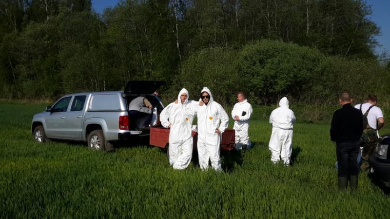 Lietuviai naudojasi proga užsidirbti iš šernų gaišenų
