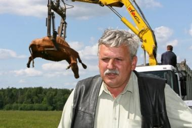 Panevėžio rajone chemikalais apsinuodijo ir nugaišo dešimt karvių