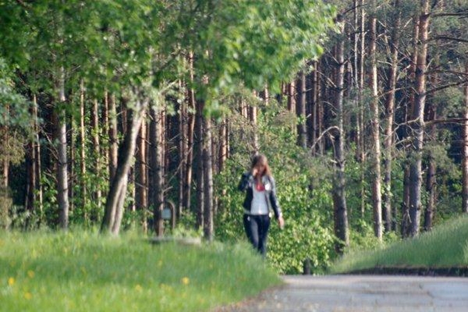Vilniuje, Pasakų parke, pedofilas išprievartavo mergaitę (papildyta)