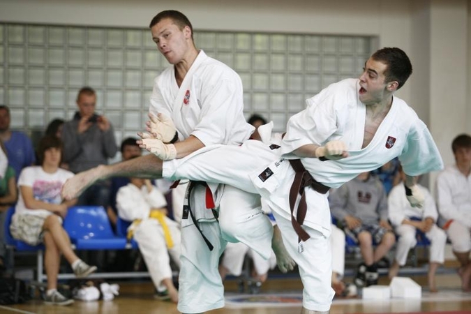 Į Europos čempionatą vyks penki Lietuvos tradicinio karate meistrai
