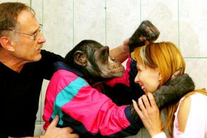 Ąžuolyno meškučių cirkas pažeidė darbų saugos reikalavimus