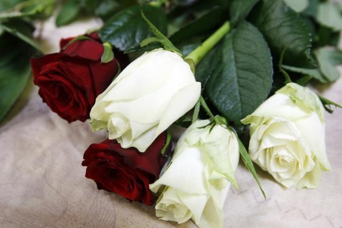 B.Savukyno premija skirta „Kultūros barų“ redaktorei L.Kanopkienei