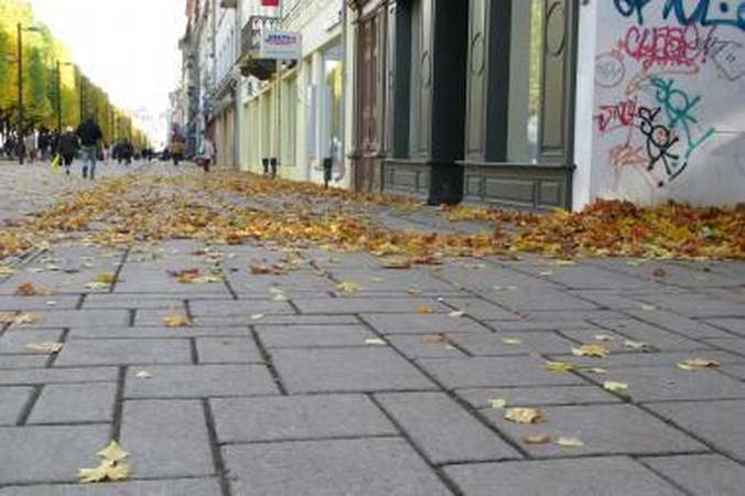 Rudens lapai šoka viliotinį