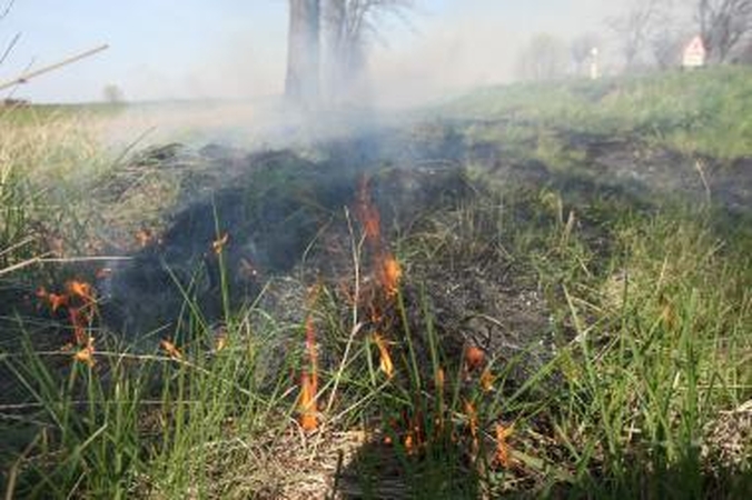 Gesindamas degančią žolę Zokniuose žuvo karys 