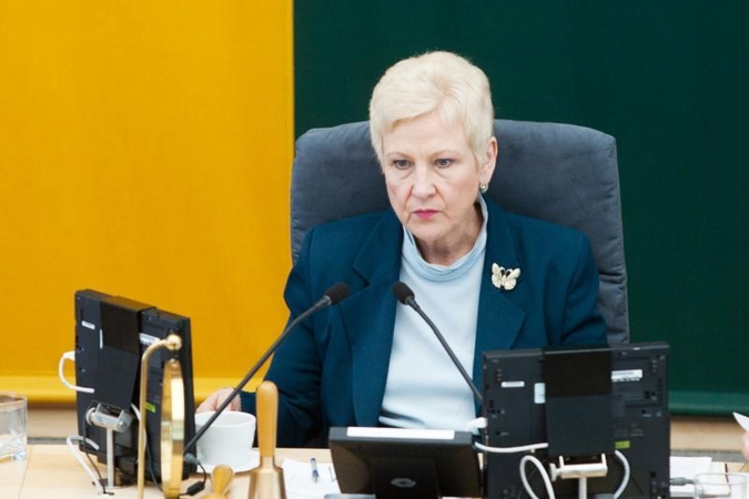 I.Degutienė: S.Stomos vietoje pasitraukčiau iš Seimo ir iš politikos