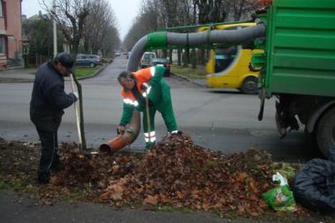 Tvarkdariai nespėja išvežti nukritusių lapų 