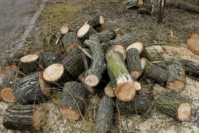 Malkas kapojantis vyras nukirto žmonai pirštą