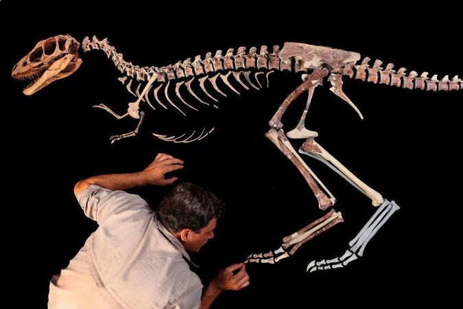 52 proc. lenkų mano, kad žmonės žemėje gyveno kartu su dinozaurais